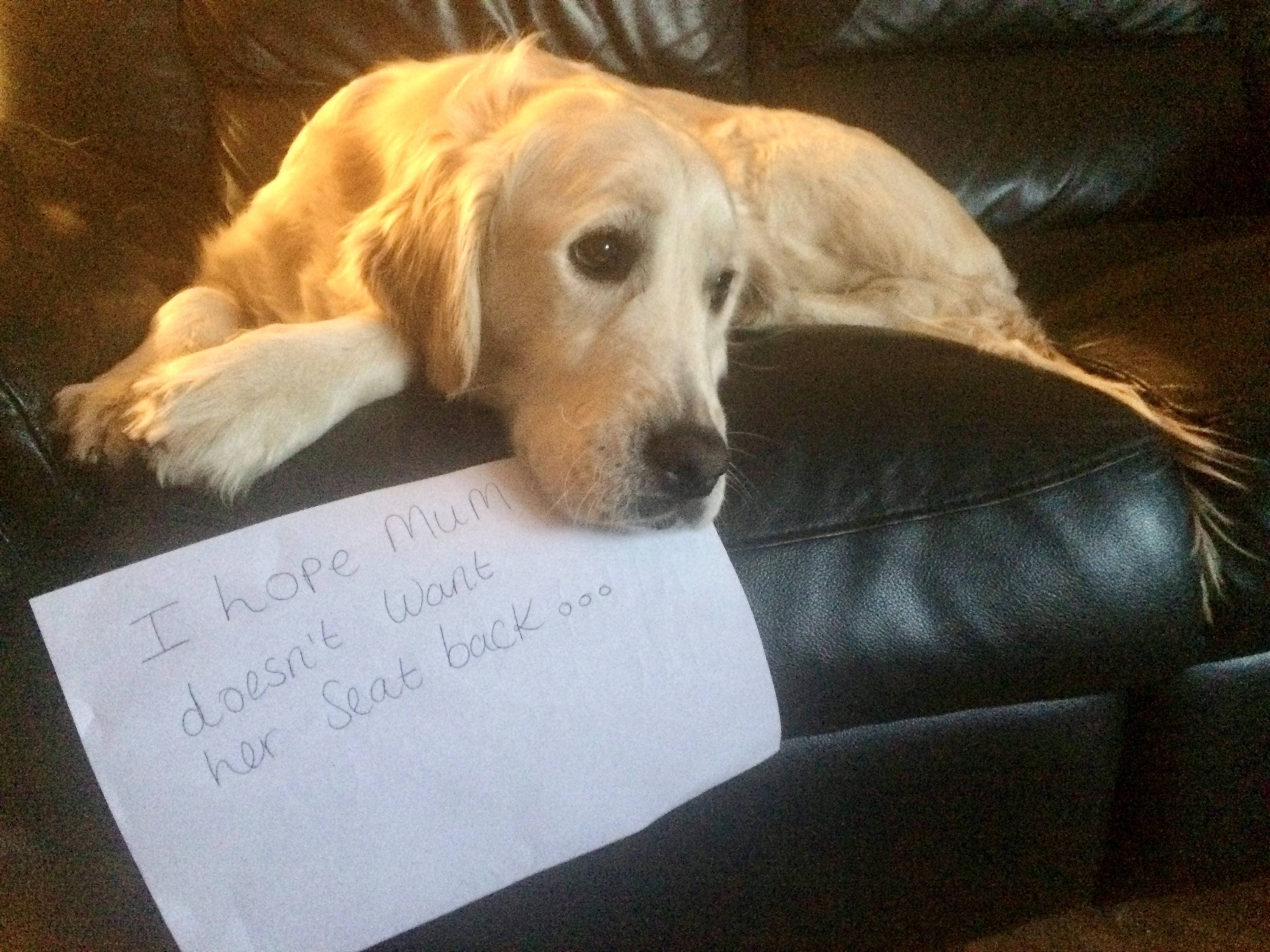 Top Tips to Attract Buyers: The Importance of a Clean Home