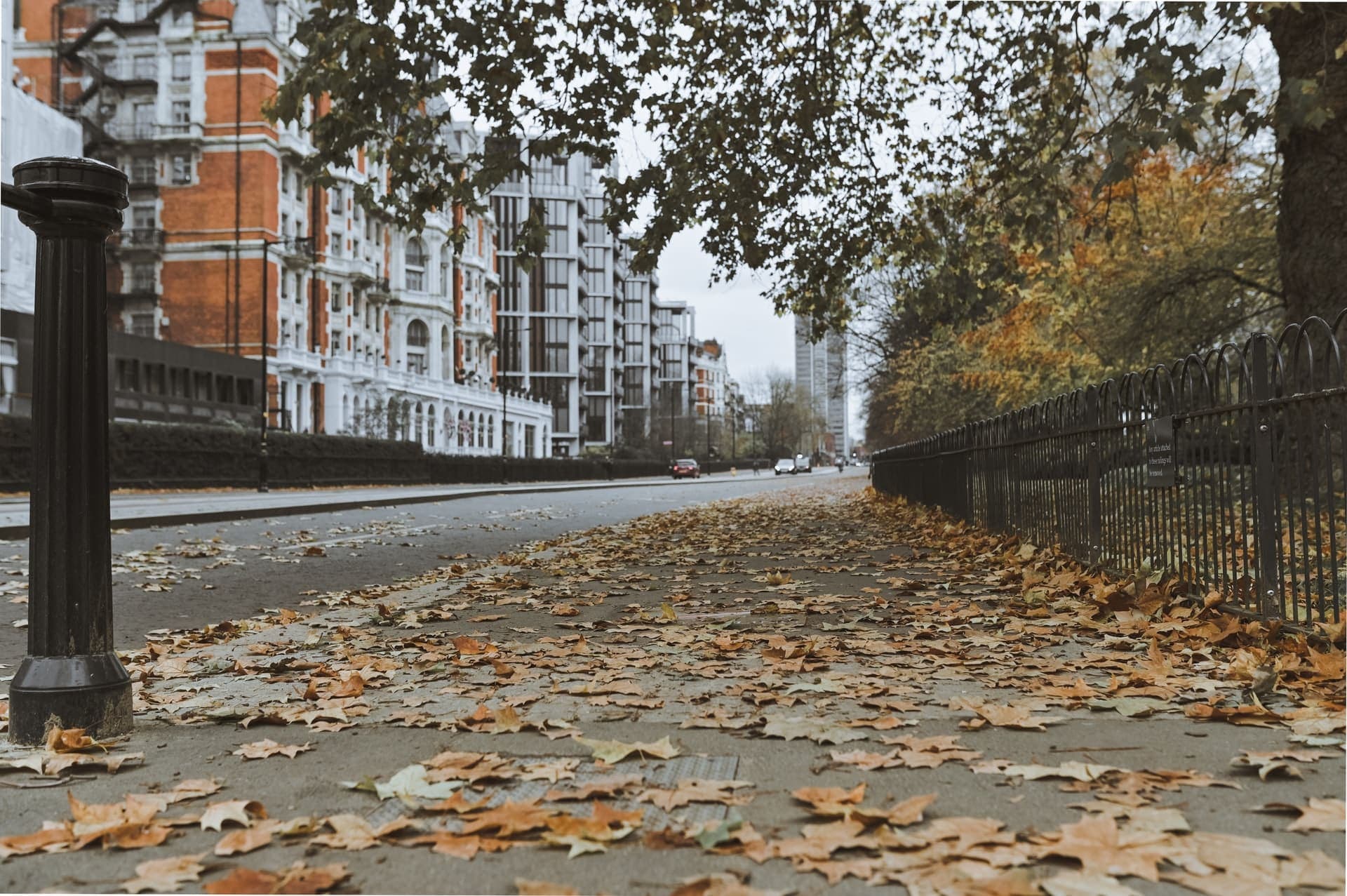 Barnsbury Property & Area Guide